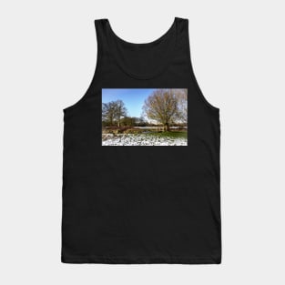 A Cold Morning in Tidmarsh Meadows Tank Top